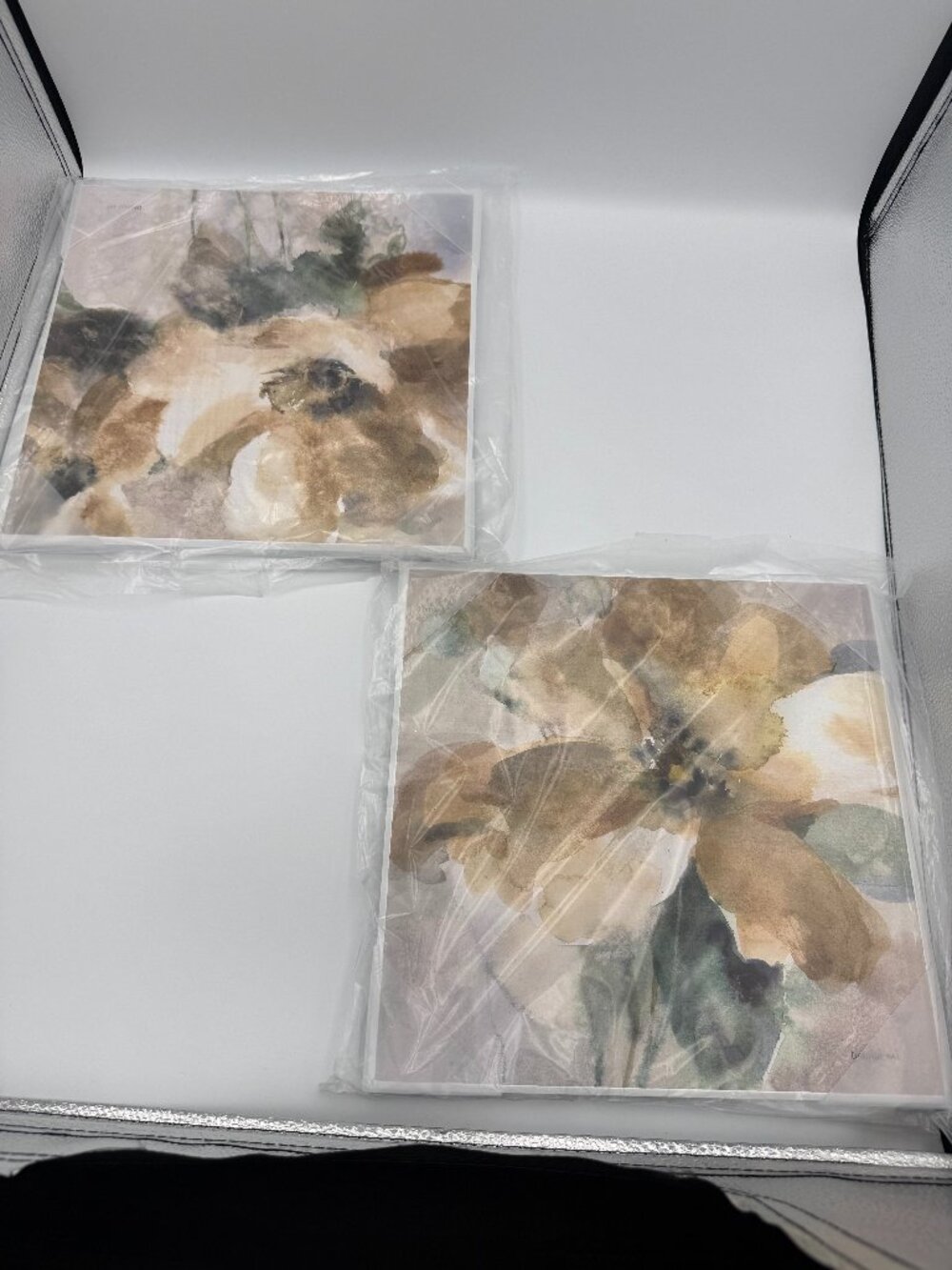 Stupell Home Decor Danhui Nai Floral Plaque Wall Art Set 12x12